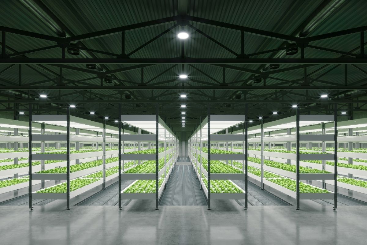 indoor-ag