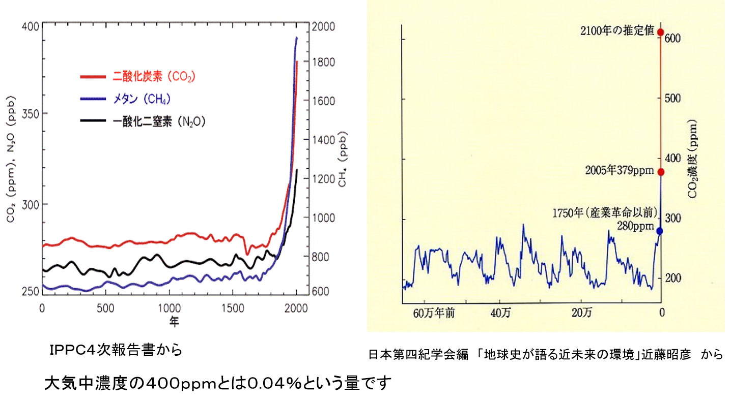 大気中の二酸化炭素（CO2）濃度の変化